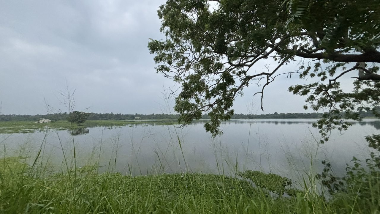 Walantelu Wewa, Wilpattu