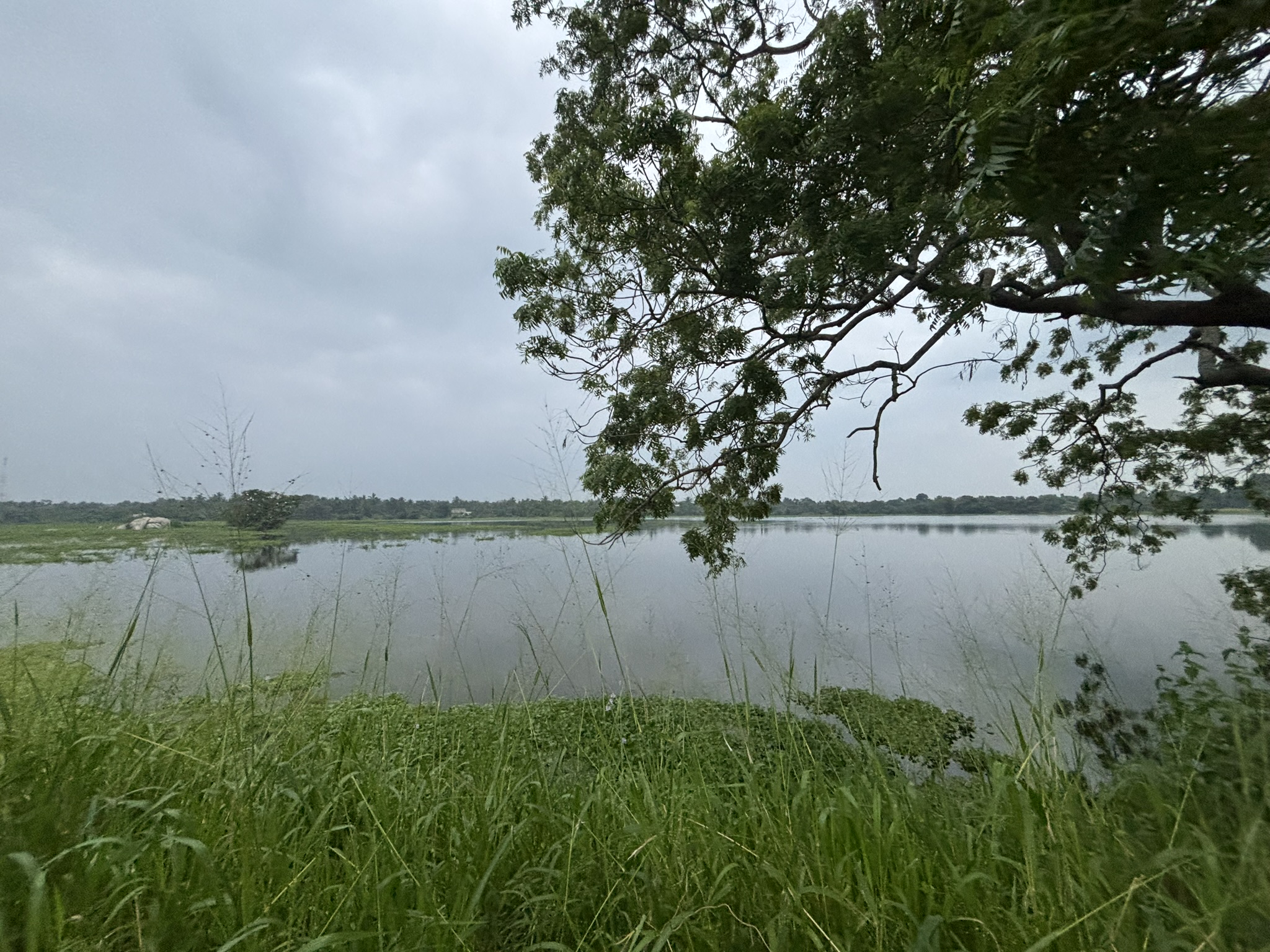 Walantelu Wewa, Wilpattu Walantelu Wewa, Wilpattu