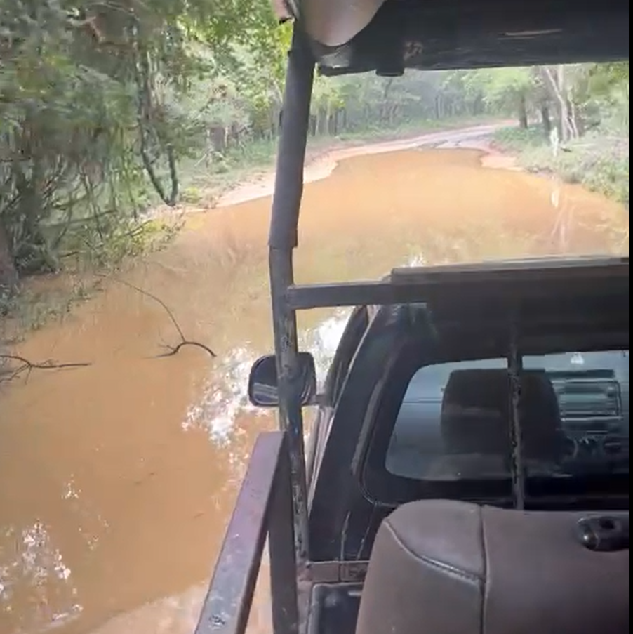 safari in Wilpattu